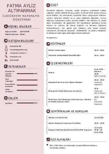 Matematik Öğretmeni Cv Örnekleri cv indir
